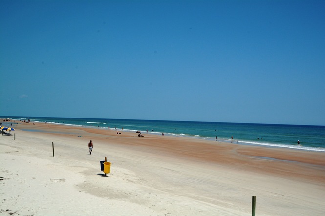 A day at the beach !