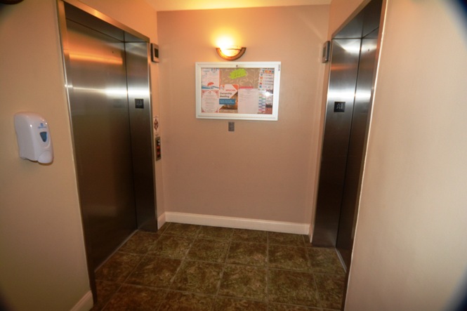 Dual Elevators