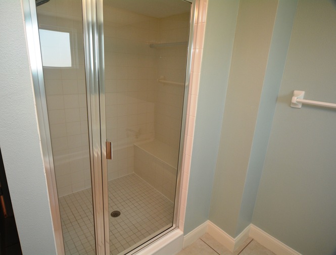 Master Bath - Separate Shower