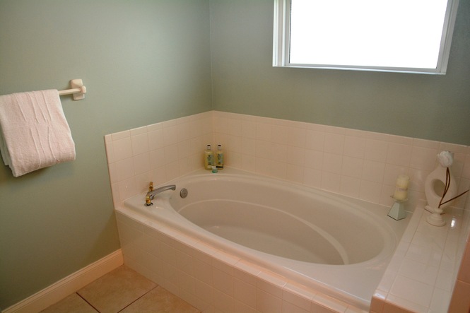 Master Bath Soaking Tub